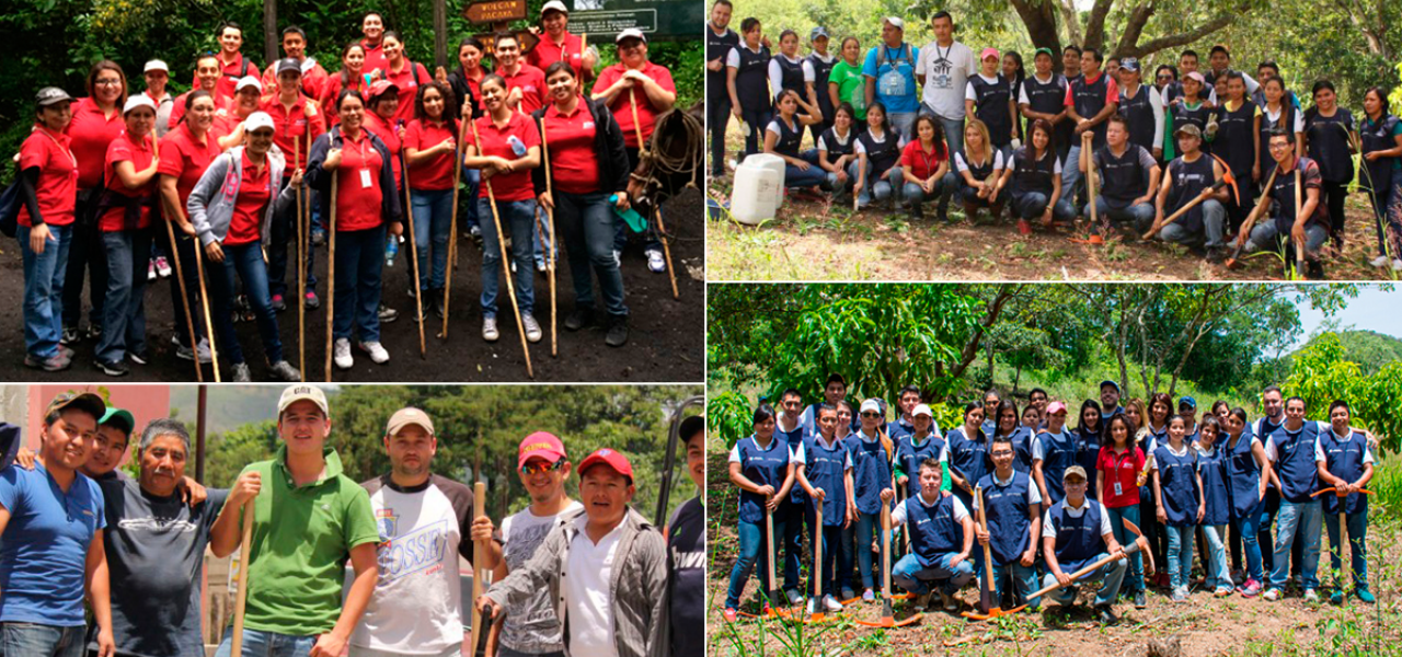 Trabajo Voluntario De Responsabilidad Social